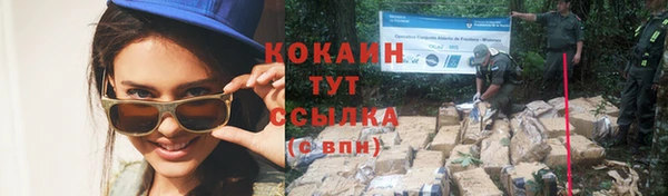 марки nbome Вяземский