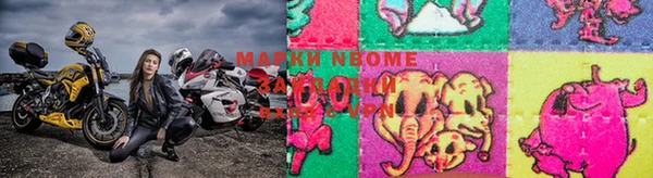 сатива Вязьма
