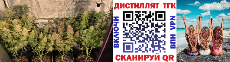 даркнет сайт  Новошахтинск  ТГК концентрат 