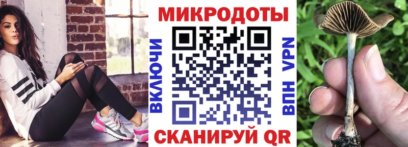 Псилоцибиновые грибы Psilocybine cubensis  Новошахтинск 